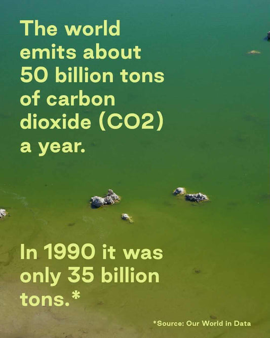 Dissecting shipping and climate