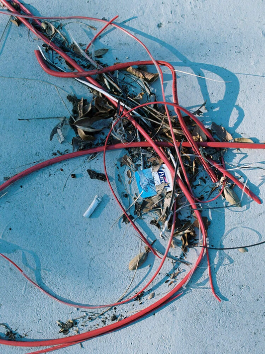 Single use Plastic