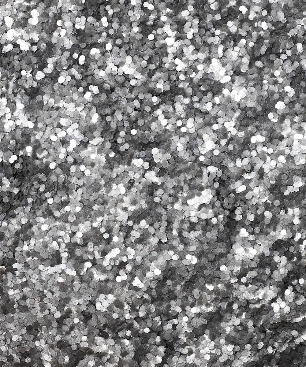 Glitter Silver - submissionbeauty
