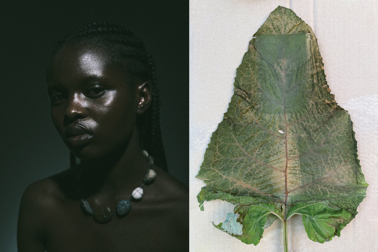 Side-by-side comparison of a person and a leaf with a dark background